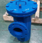 藍(lán)式管道過(guò)濾器 藍(lán)式管道過(guò)濾器